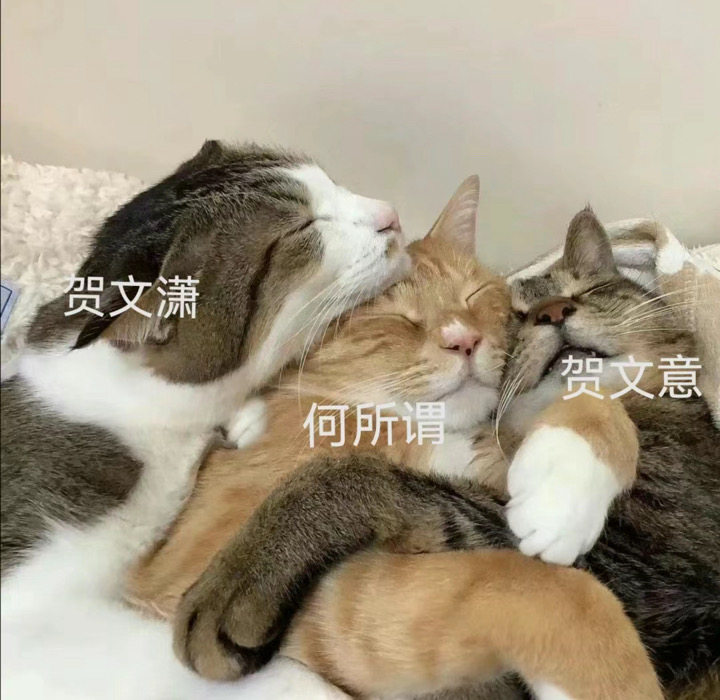 文潇文意