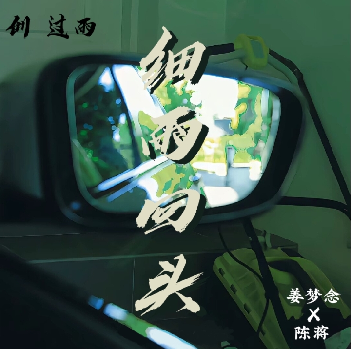 细雨回头