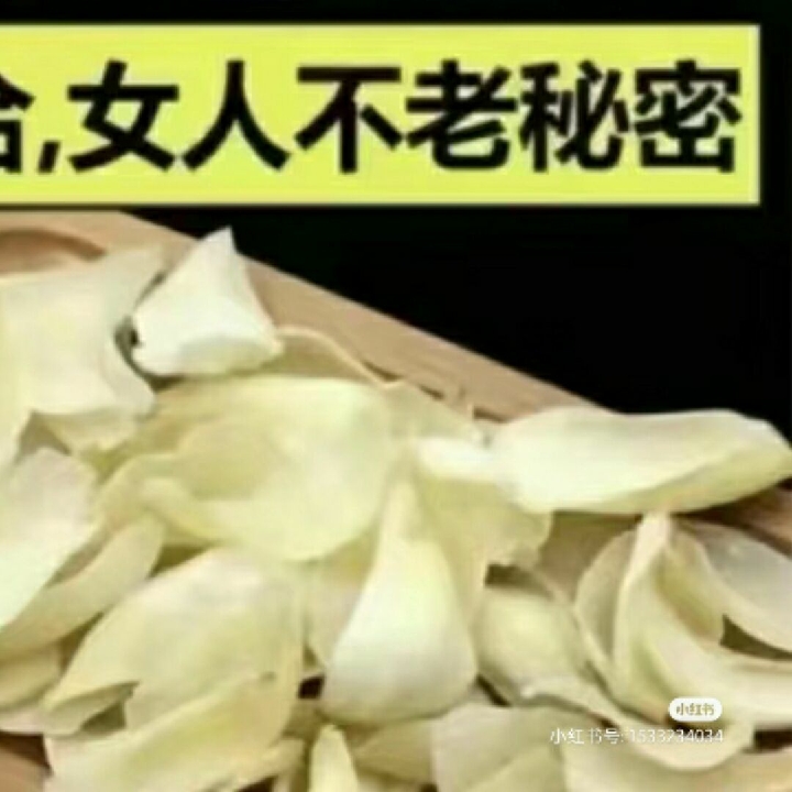 我是一条毫无道德感的疯狗